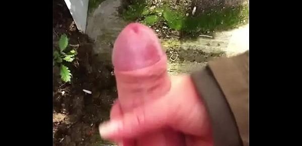  A lovely outdoors suck and wank